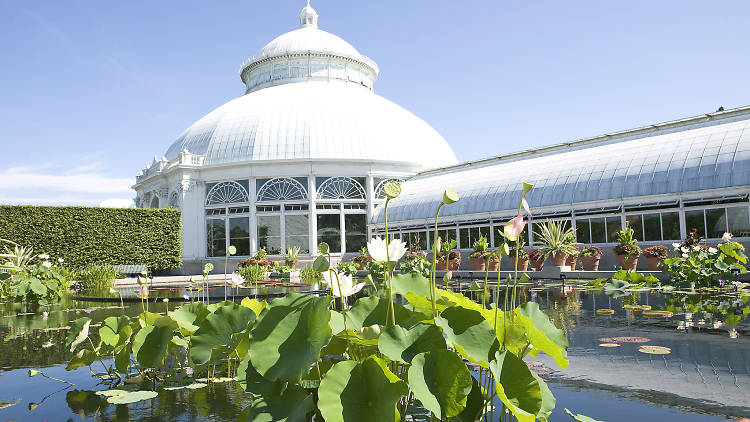 New York Botanical Garden | Bronx, NY