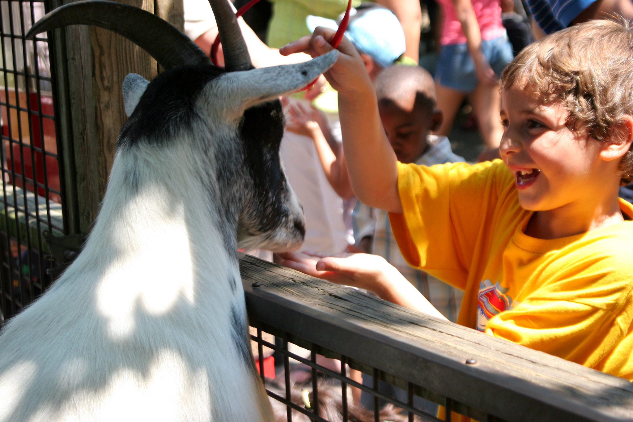 Bronx Zoo: Animal exhibits, zoo events & nearby family attractions