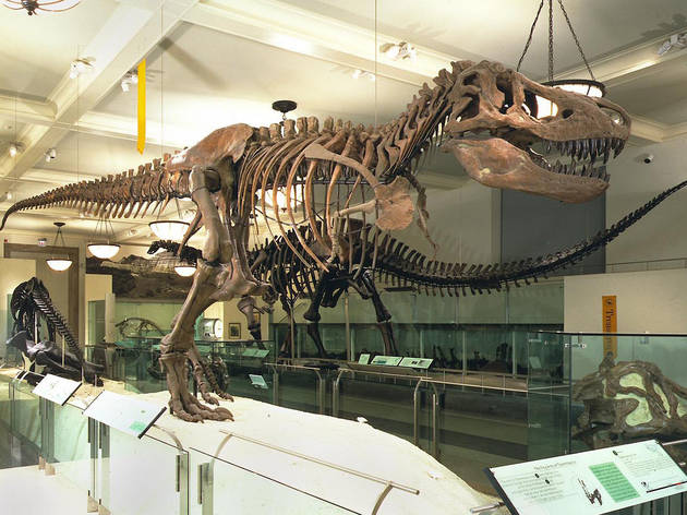 The 50 best NYC sights and attractions The 50 best NYC sights and attractions