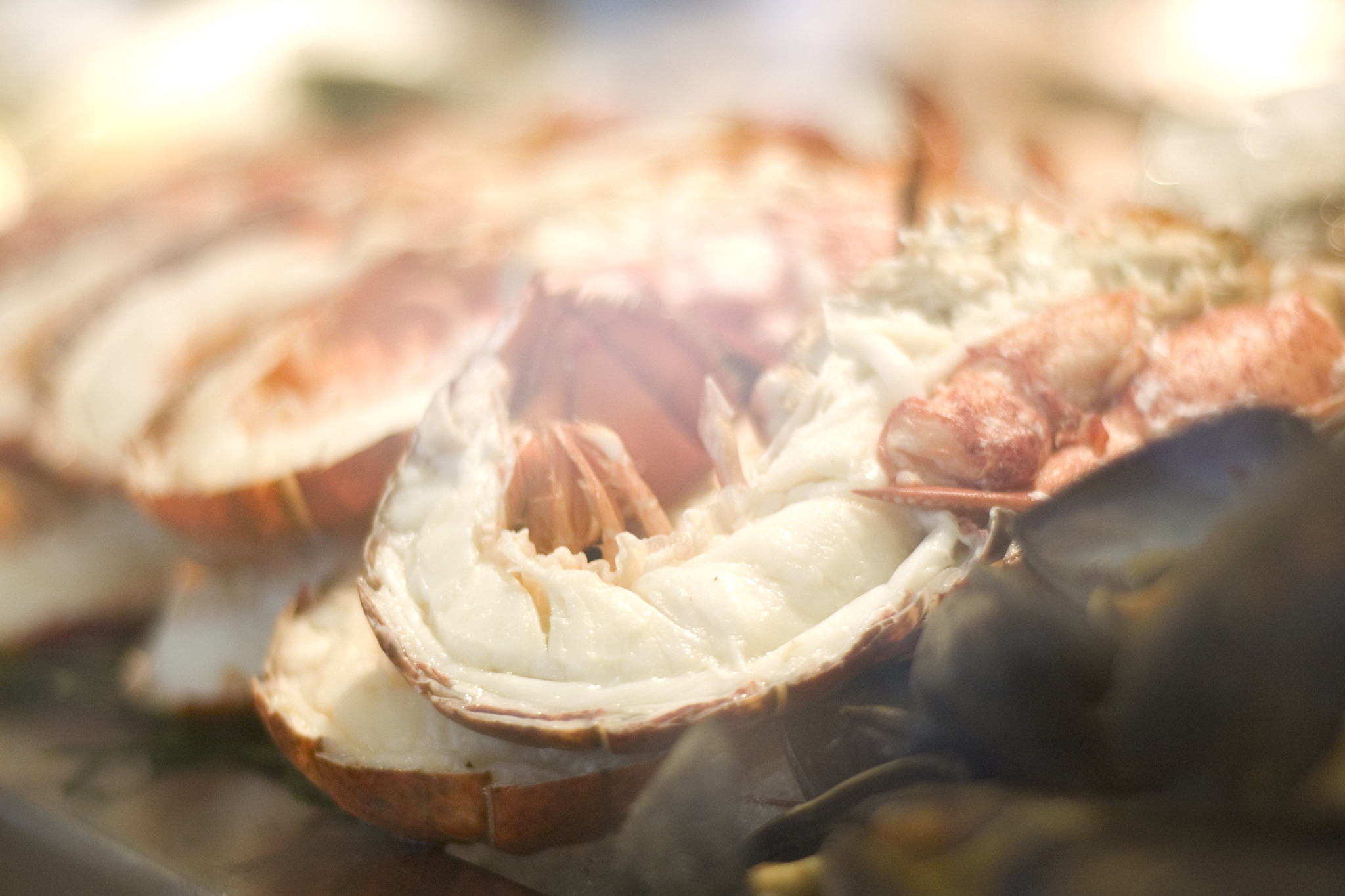 Ed’s Chowder House Restaurants in Upper West Side, New York Kids