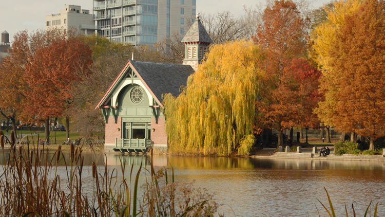 Photograph: Courtesy Central Park Conservancy