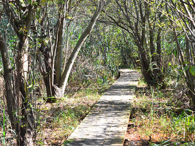 Alley Pond Park Attractions In Queens New York Kids