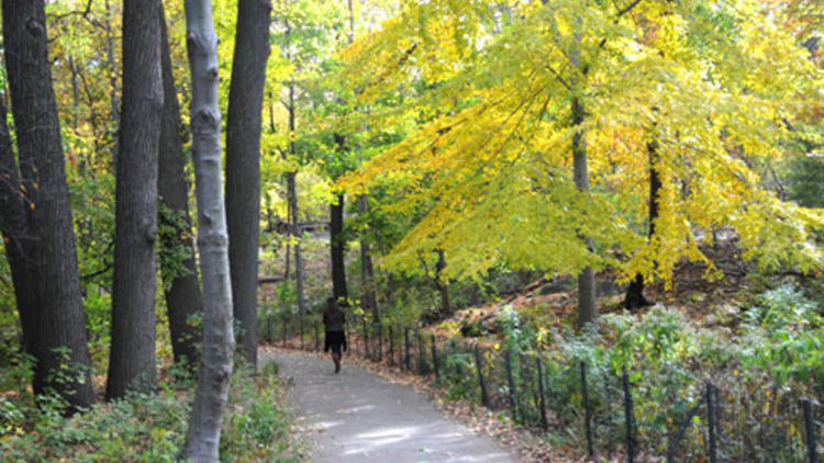 Hans Christian Andersen  Central Park Conservancy