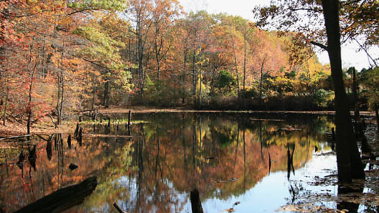 Greenbelt Nature Center