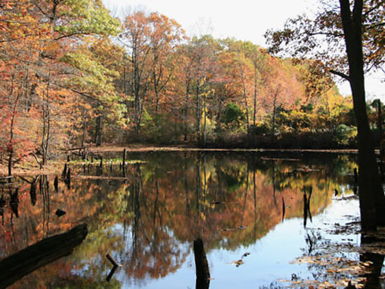 Greenbelt Nature Center