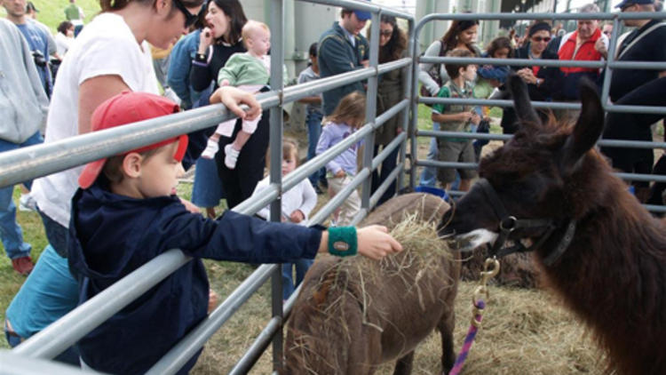 West Side County Fair