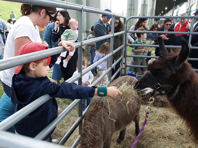 Fall festivals and fairs Fall festivals and fairs