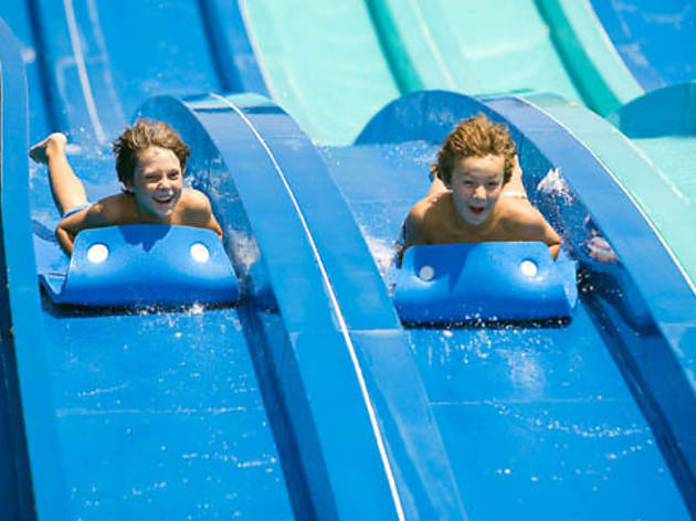ny_migration_67.ft.67dorneypark05.jpg Dorney Park