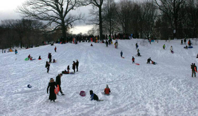 Prospect Park | Brooklyn