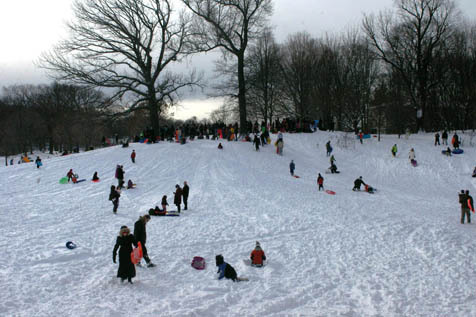 All the Best Sledding Hills in NYC for the Winter