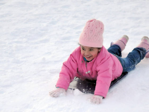 Sledding at Crotona Park, Bronx