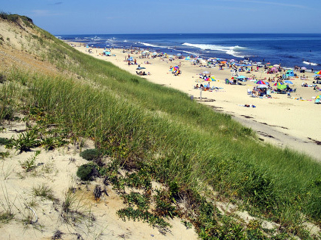 ny_migration_57.ft.weekend.capecod_02_0.jpg Cape Cod