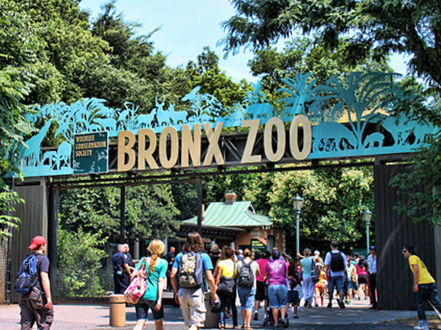 Bronx Zoo: Animal exhibits, zoo events & nearby family attractions