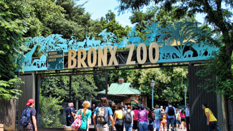 Bronx Zoo