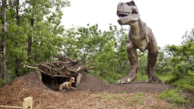 Events - NJ Field Station: Dinosaurs