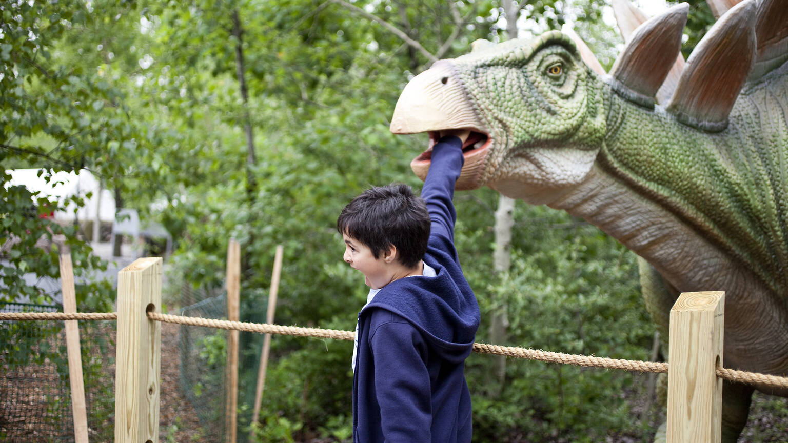 Field Station Dinosaurs Attractions in New York Kids