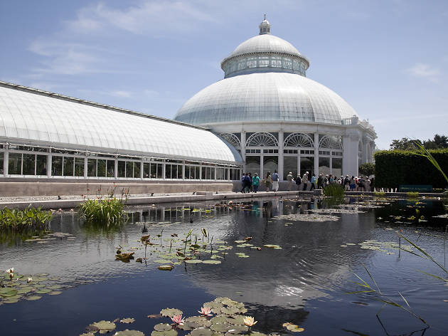 New York Botanical Garden Guide Including Exhibitions And Events