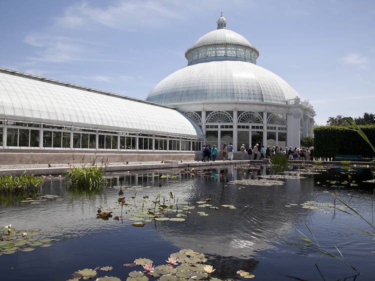 Hide out in the tropical Haupt Conservatory