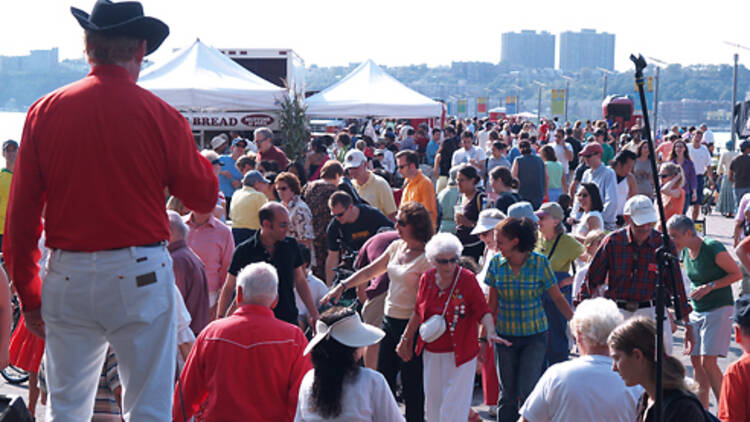 Summer on the Hudson: 4th Annual West Side County Fair, Riverside Park South