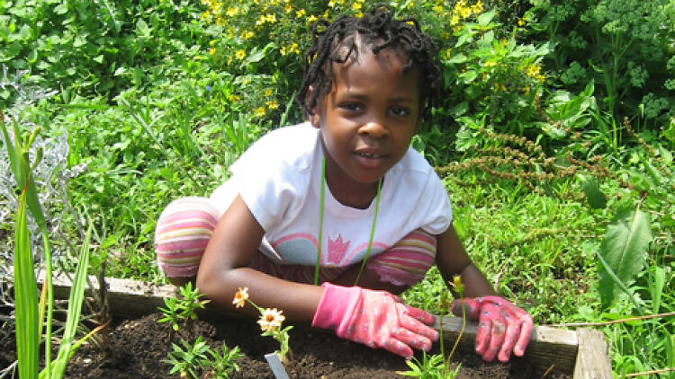 Children's Garden at the Queens Botanical Garden