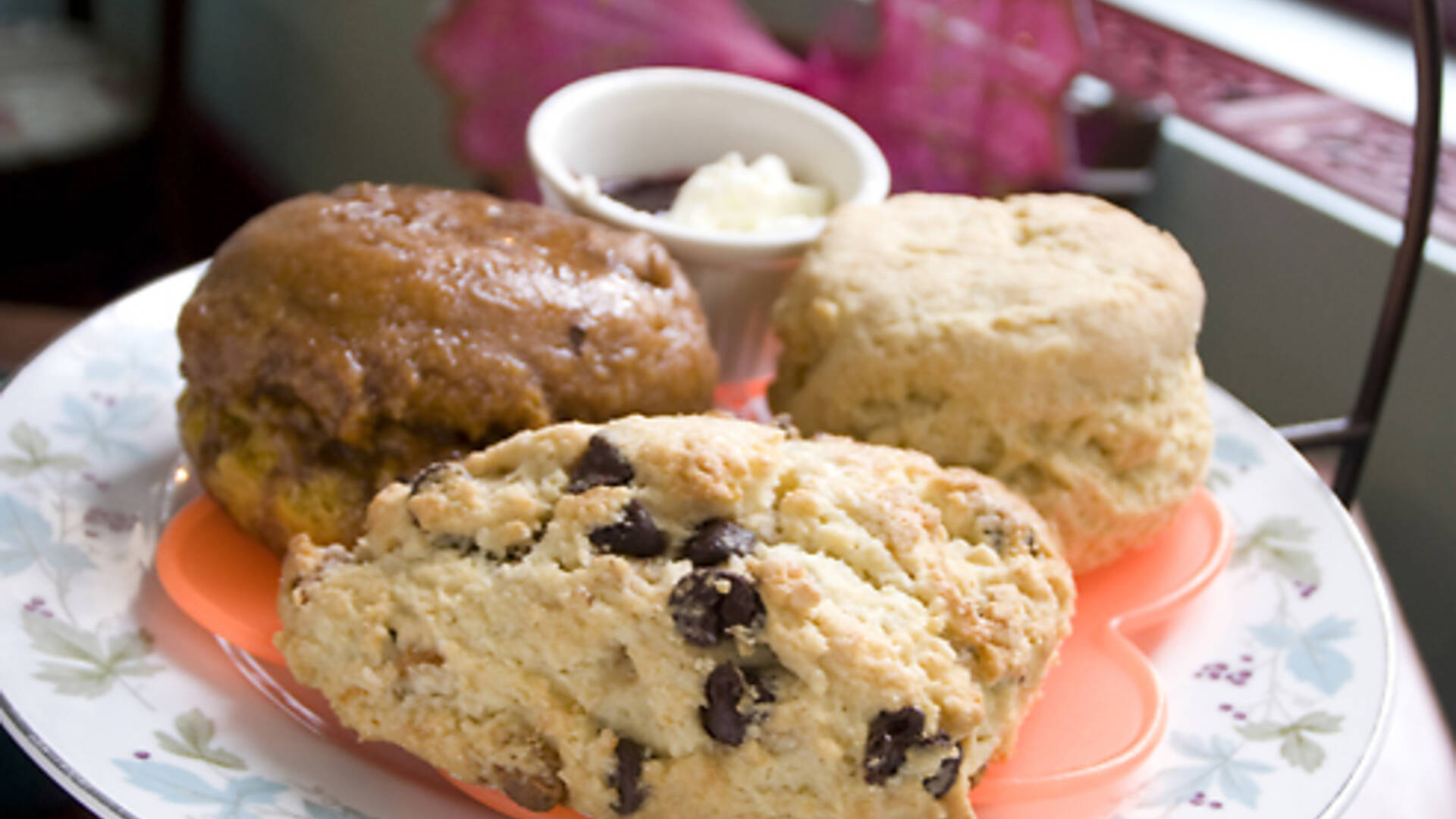 Alice's tea cup near me