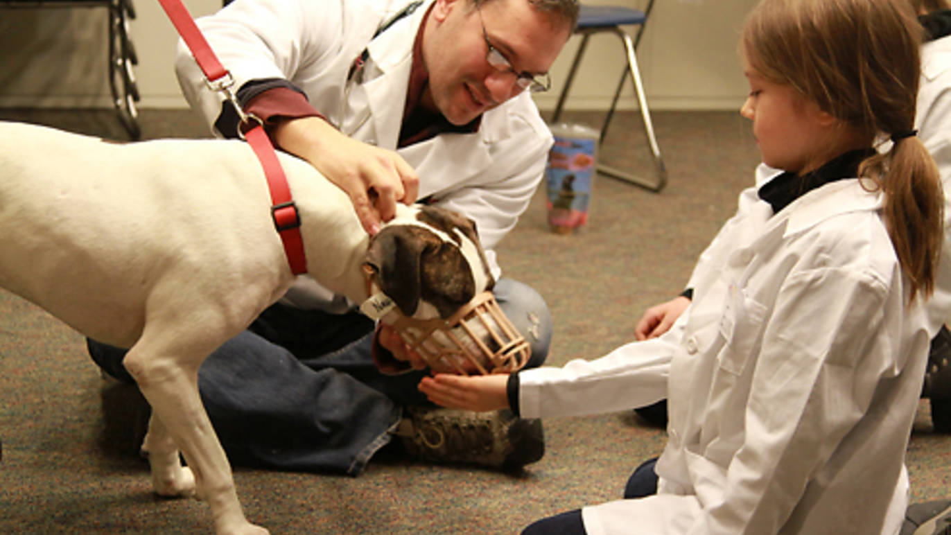 Animal care classes for NYC kids