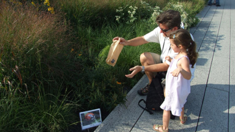 Photograph: Friends of the High Line