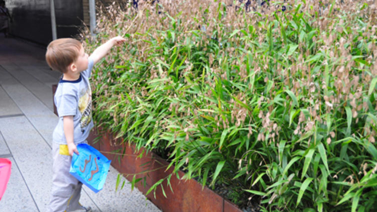 Photograph: Friends of the High Line