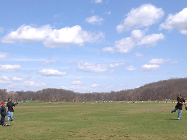 Van Cortlandt Park