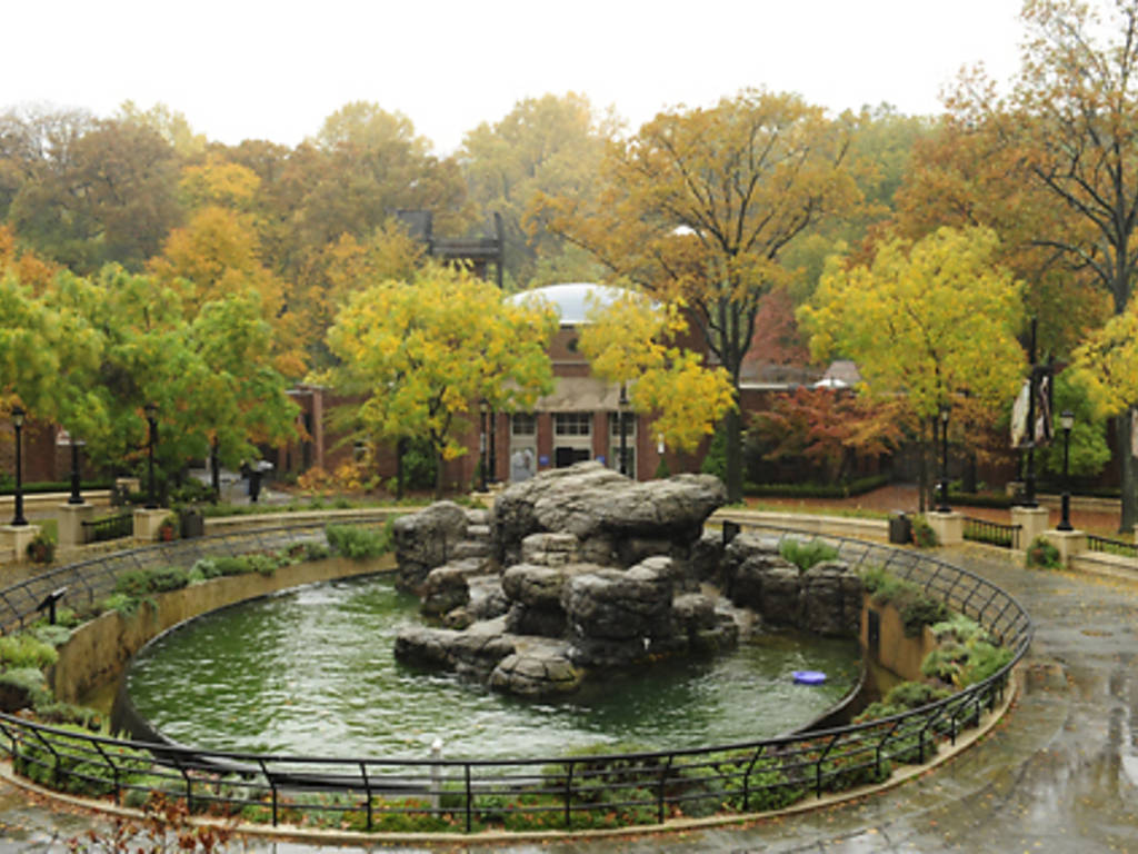 Best Zoos in New York City for Kids and Families