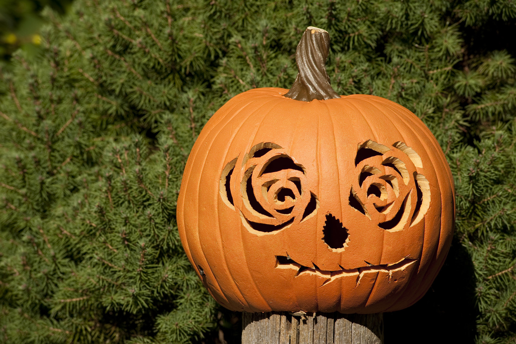 Giant Pumpkin Carving Weekend Things To Do In New York Kids