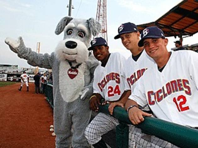 ny_migration_barkinthepark.jpg Bark in the Park
