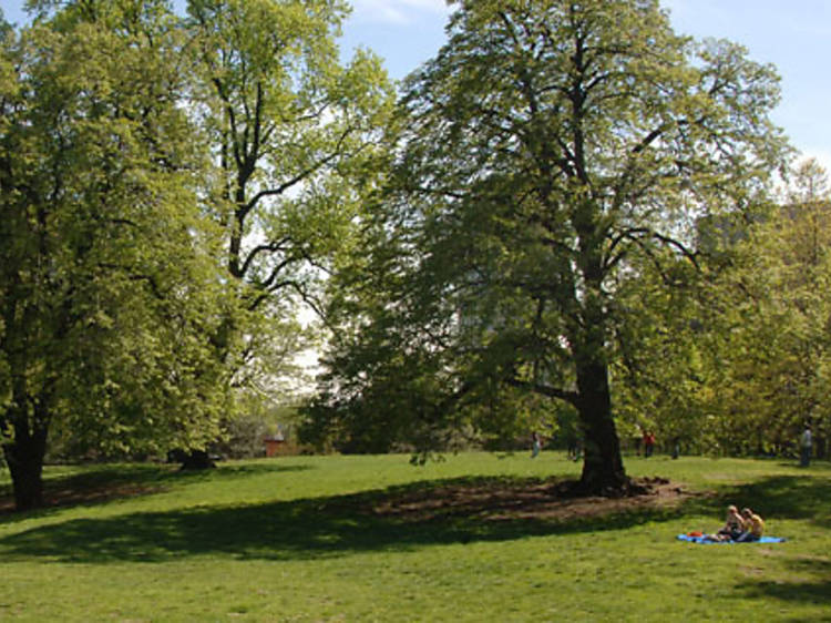 Fort Greene Park