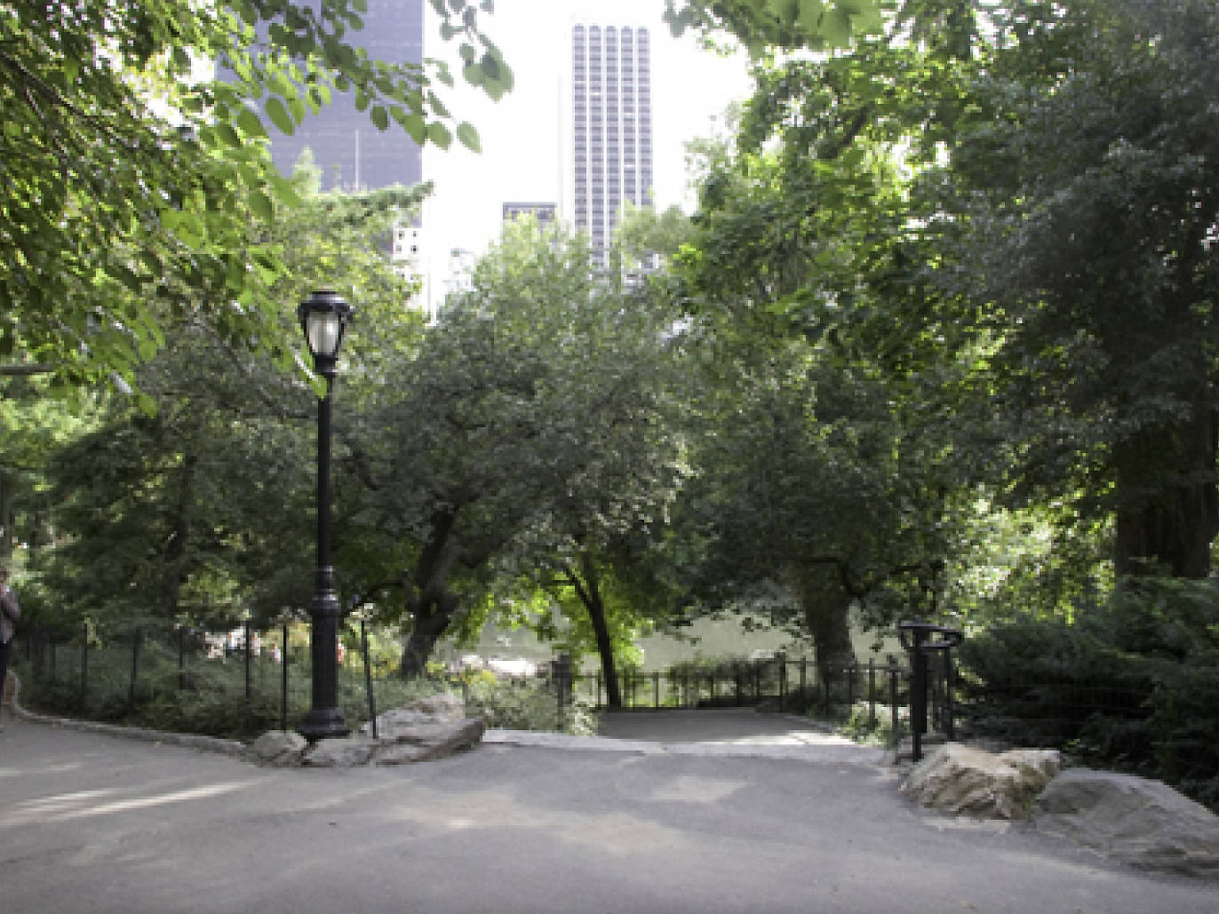 Dog friendly New York parks