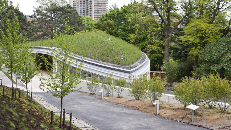 The New BBG Visitor's Center