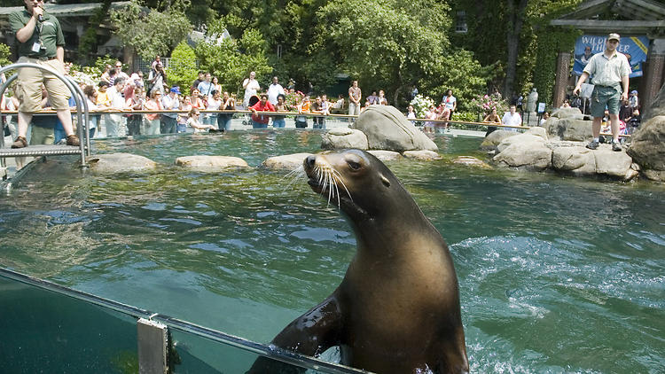 Central Park Zoo