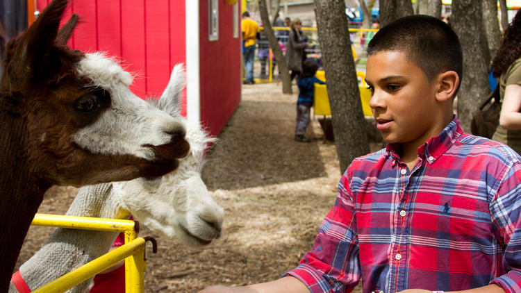 Children's Carnival at Queens County Farm Museum