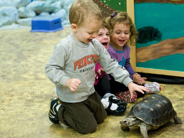 9 Best Petting Zoos in NYC for Kids
