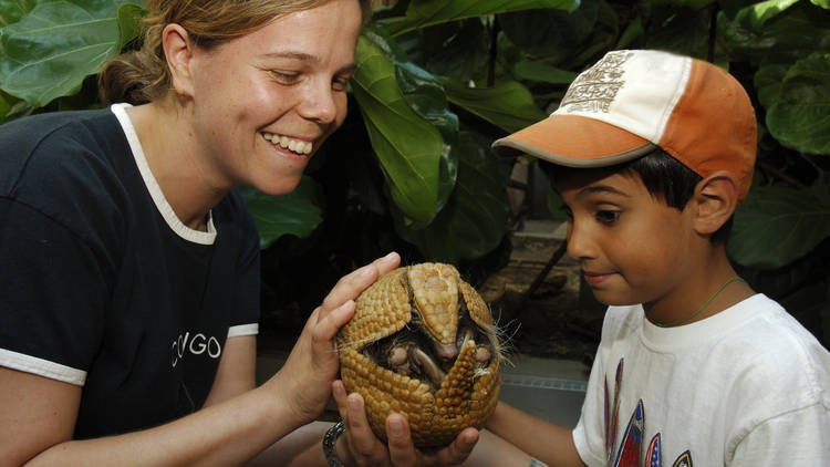 Bronx Zoo's Animal Kingdom Camp