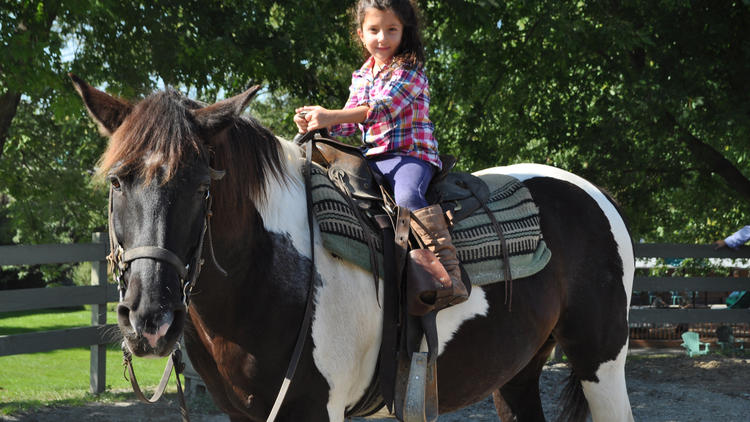 Rocking Horse Ranch: Highland, NY