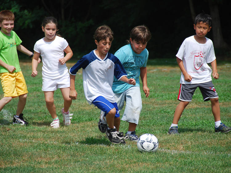 Summer day camp: Commuter camps for kids in NYC