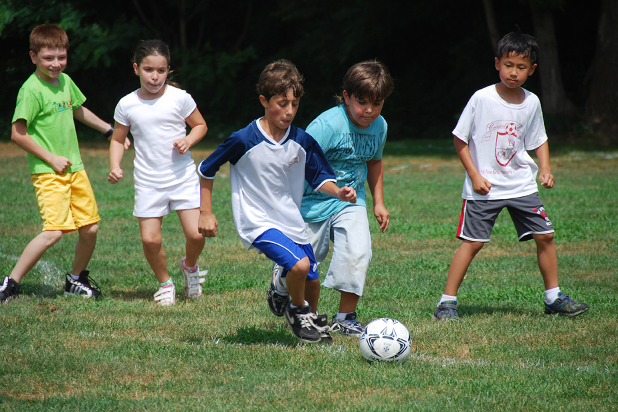 15++ Brooklyn sports summer camp Photo