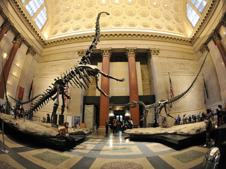 American Museum of Natural History