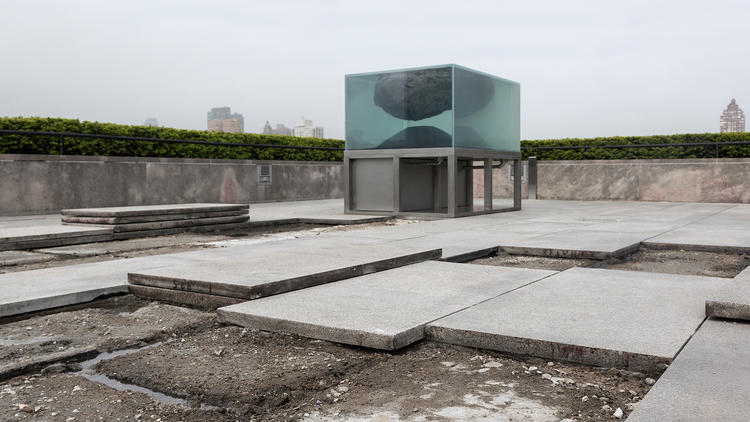 “The Roof Garden Commission: Pierre Huyghe”