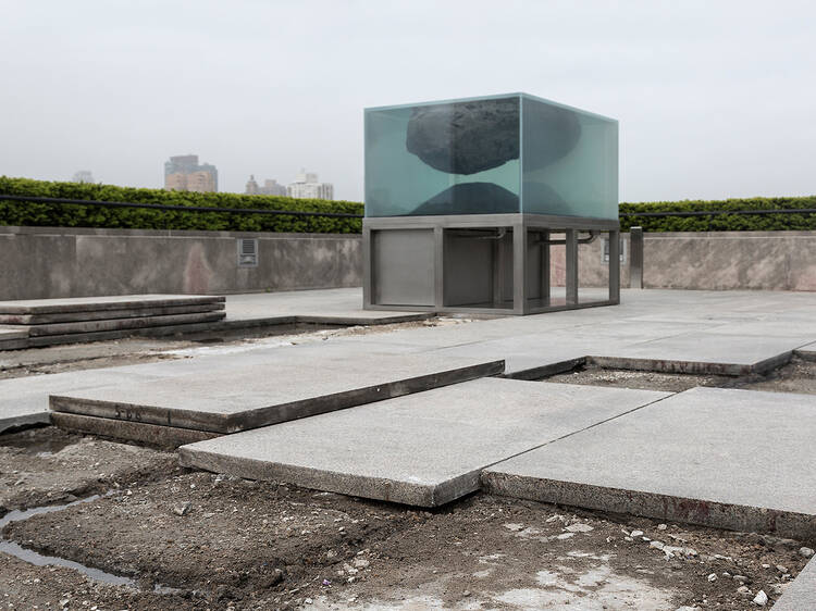 “The Roof Garden Commission: Pierre Huyghe”