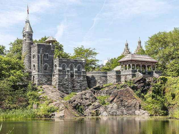 Central park in summer, see all the beautiful photos