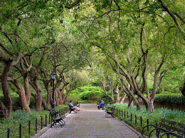 The Conservatory Garden