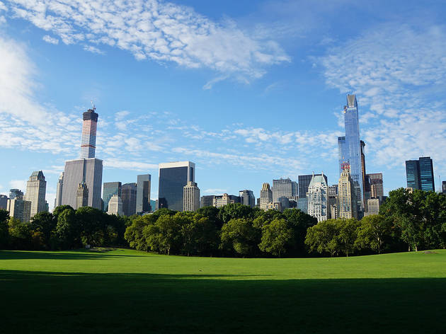 Central park in summer, see all the beautiful photos