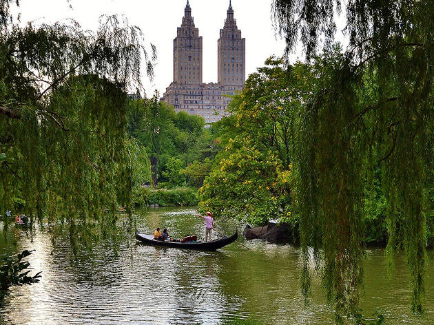 The Boating Lake