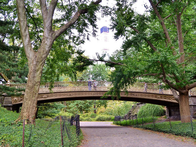 Pine Bank Arch